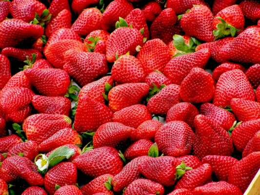 Aardbeien